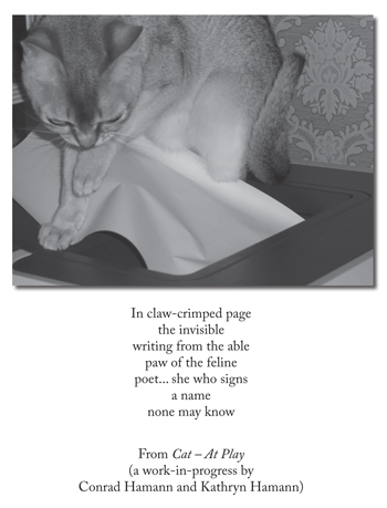 Cat at Play poem