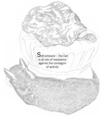 Self-pillowed