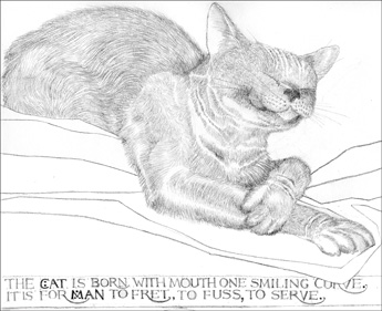 Maddie the Cat